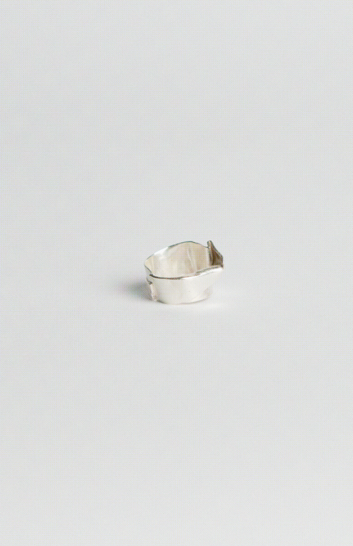 THE FOLDED RING