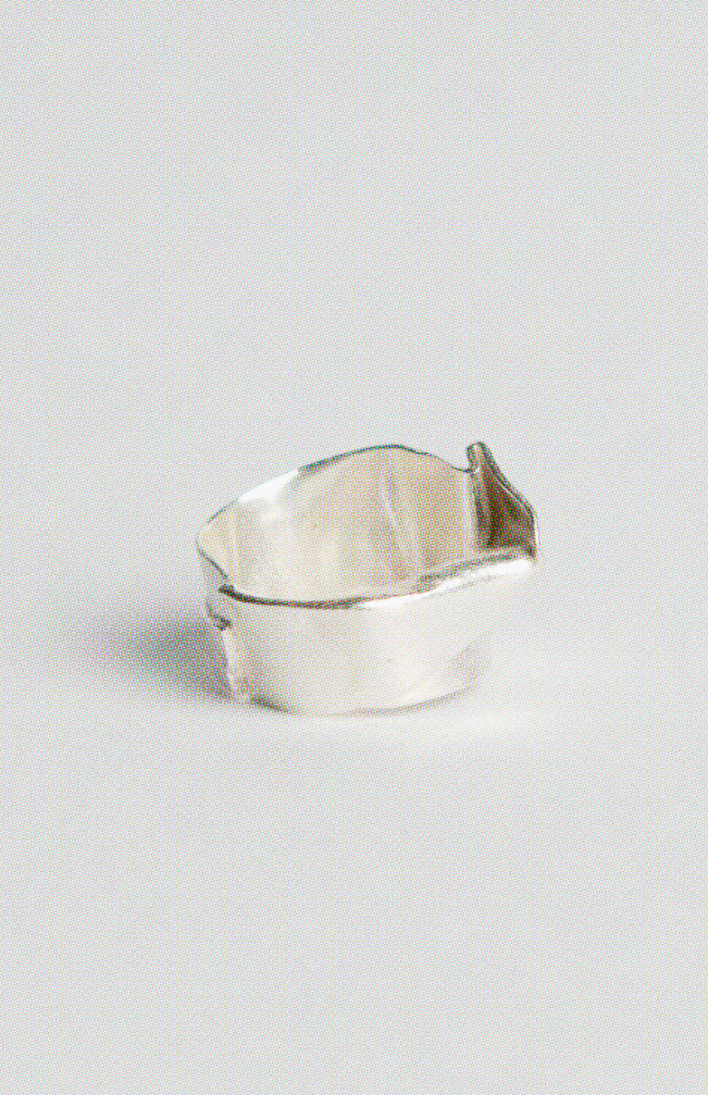 THE FOLDED RING